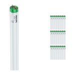 Monipakkaus 25x Philips MASTER TL-D Actinic BL 18W - Ultravioletti | 60cm