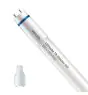 Philips LED Putki T8 MASTER (EM/Mains) High Output 8W 1000lm - 830 Lämmin Valkoinen | 60cm - Korvaa 18W