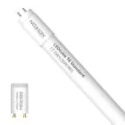 Noxion LED Putki T8 Avant (EM/Mains) Standard Output 15W 1800lm - 865 Päivänvalo Valkoinen | 120cm - Korvaa 36W